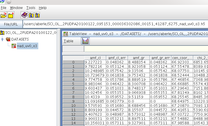 The content of the HDF5 file seen with hdfview